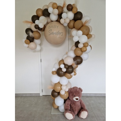 Gender reveal vraagteken incl. gender reveal ballon